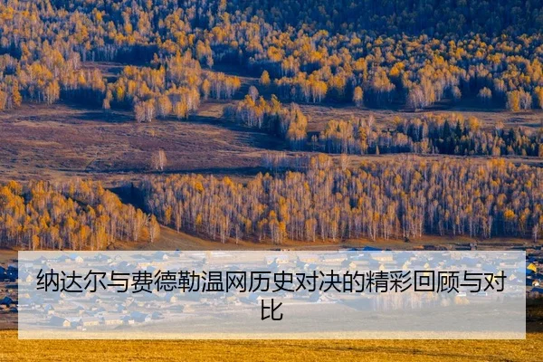 na-da-er-yu-fei-de-lei-wen-wang-li-shi-dui-jue-de-jing-cai-hui-gu-yu-dui-bi-2-301.jpg