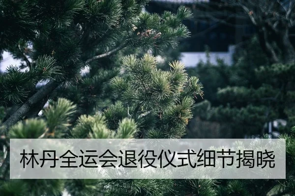 lin-dan-quan-yun-hui-tui-yi-yi-shi-xi-jie-jie-xiao-2-384.jpg