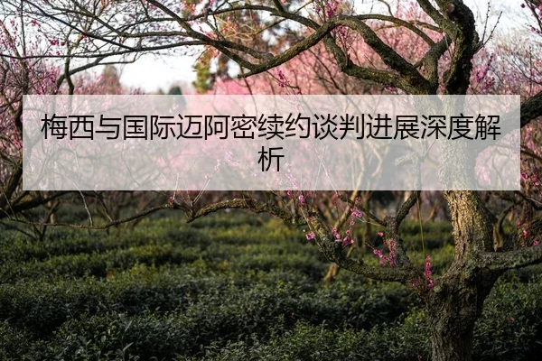 梅西与国际迈阿密续约谈判进展深度解析