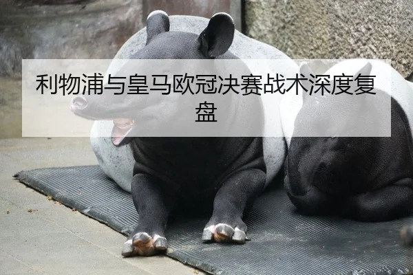 利物浦与皇马欧冠决赛战术深度复盘